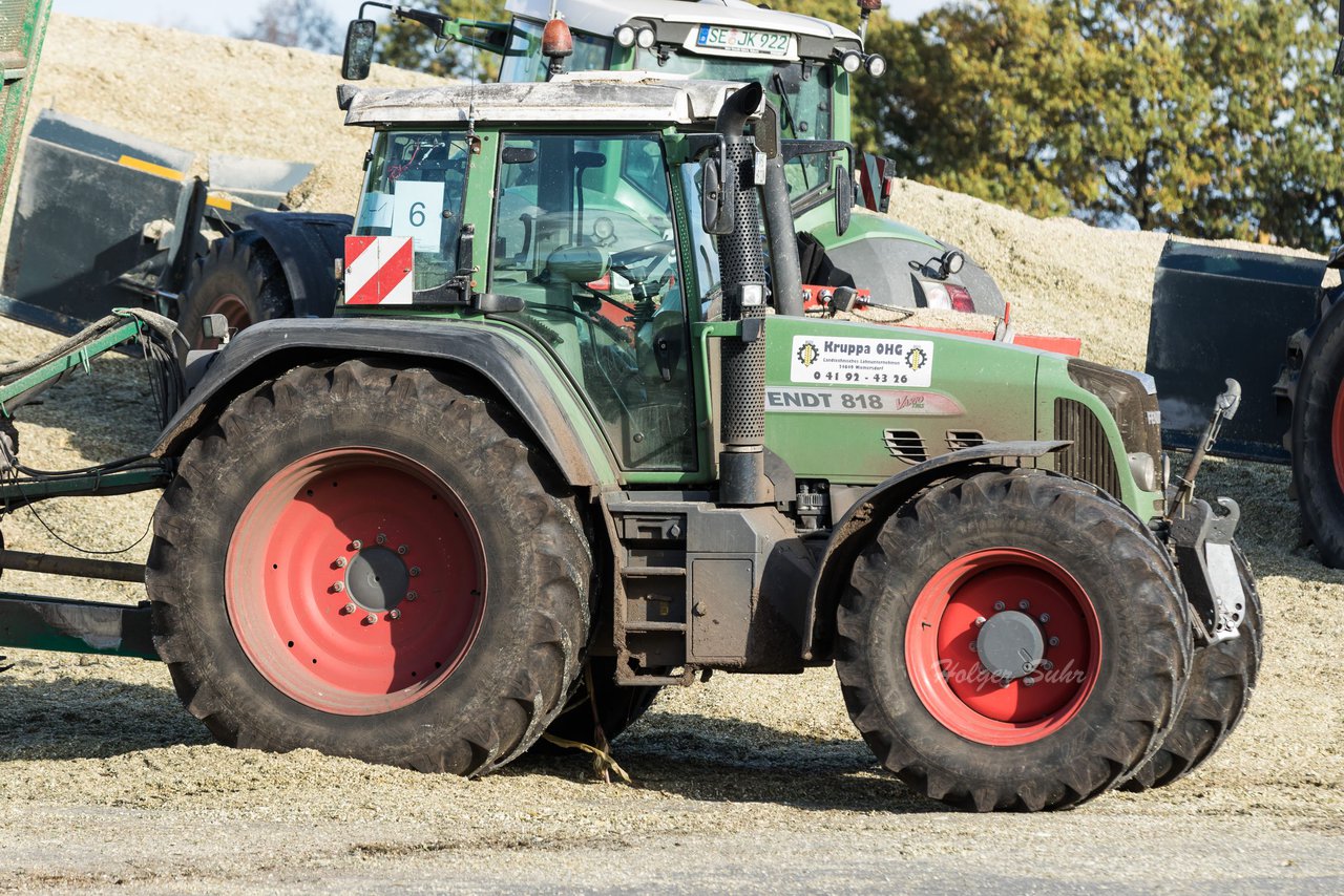 Bild 7 - Maisernte Kruppa in Fehrenbtel